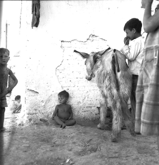 Gitani, 001-038-12
1958
Granada (Sacromonte) (Spagna)