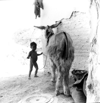 Gitani, 001-038-04
1958
Granada (Sacromonte) (Spagna)