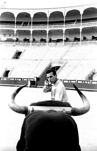 Tori e Toreri, 001-034bis-19 Il torero Valencia durante un allenamento, 1958 Plaza de Toros de Las Ventas, Madrid (Spagna)
