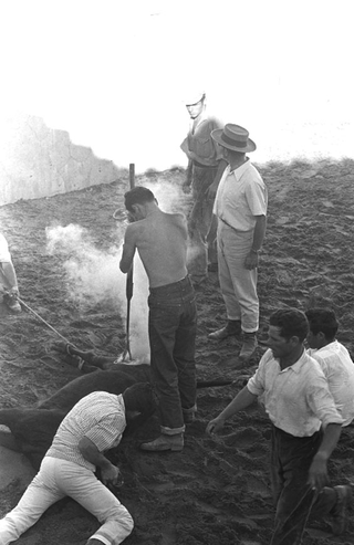 Tori e Toreri, 001-030-04 1958 Allevamento di tori Domecq, Jerez de la Frontera (Spagna)