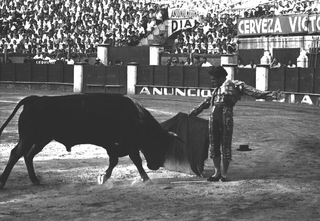 Tori e Toreri, 001-028-35 Baldomero Martín Ramos, 1958 Torremolinos (Spagna)
