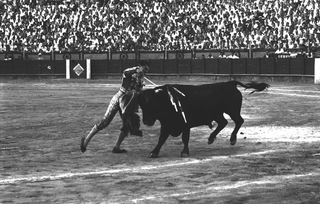 Tori e Toreri, 001-028-31 Baldomero Martín Ramos, 1958 Torremolinos (Spagna)