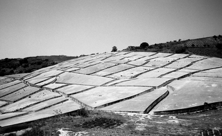 Sicilia, 090-164-16
Il Cretto di Burri, 1989
Sicilia (Italia)