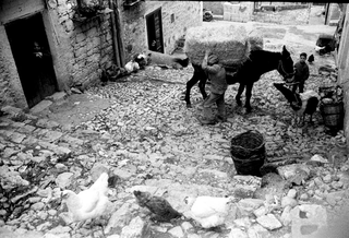 Sicilia, 068-314-34
1962
Trappeto/Partinico (PA) (Italia)