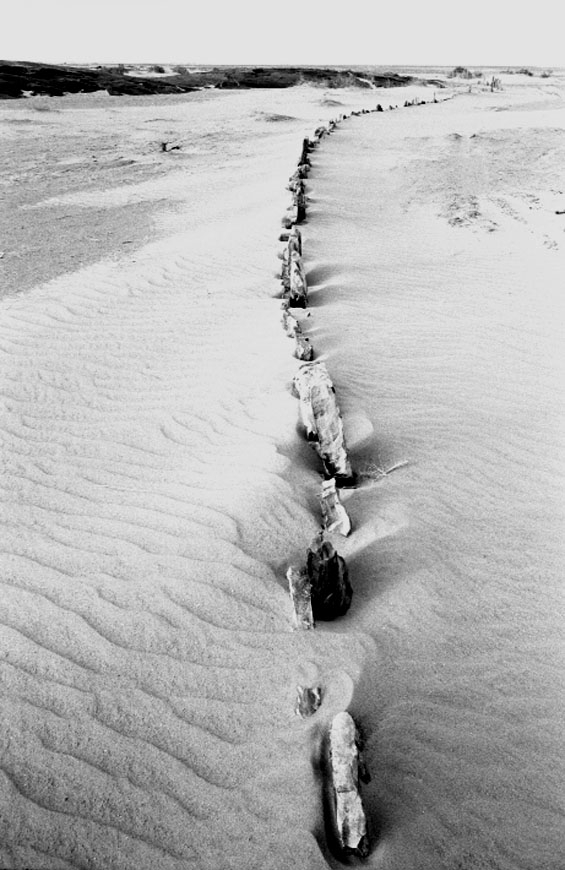 Deserto, 003-123-21
Linea di rocce nel deserto,
(Libia)
