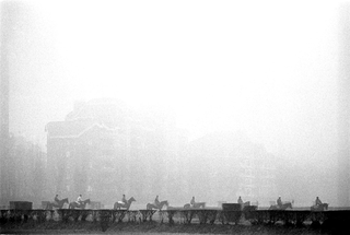 Sport e sportivi, 033-253-25
Cavalli da corsa in allenamento durante una giornata di nebbia, 1998
Ippodromo San Siro, Milano (Italia)