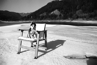 Foppapedretti, 025-235-18
Poltroncina Bazille di Giandomenico Belotti, 1997
Cavalese (Italia)