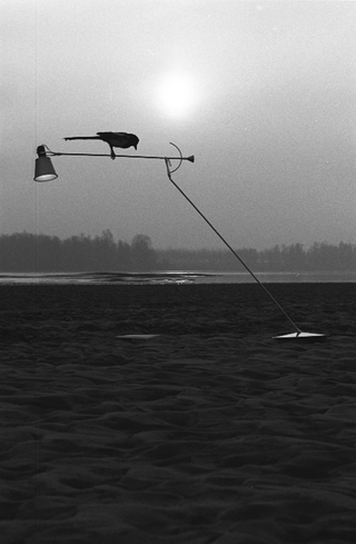 Cassina, 023-138-13
Lampada "Hidra" di Carlo Forcolini per Nemo,
Monticelli Pavese (Italia)