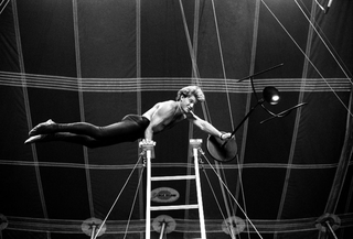 Alias al Circo Medini, 021-047-36
Servomuto "Jeeves" di Carlo Forcolini per Alias, 1988
Circo Medini, Milano (Italia)