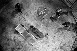 Alias al Circo Medini, 021-039-02
Prodotti Alias, 1988
Circo Medini, Milano (Italia)