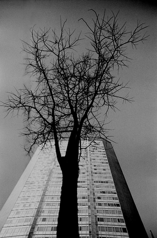 Grattacielo Pirelli, 005-089-03
Grattacielo Pirelli progettato da Gio Ponti, 2001
"Pirellone" sede della Regione Lombardia, Milano (Italia)