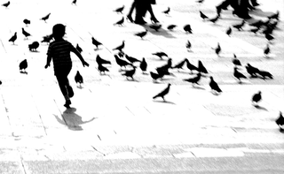 Piazza Duomo, 005-059-10
Ombre in piazza, 1962
Piazza del Duomo, Milano (Italia)
