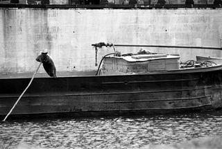 I navigli di Milano, 004-008-18
Anni '60
Milano (Italia)