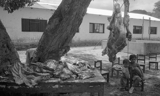 Bolivia, 104-012-15
Preparativi per il Capodanno, 2010
Ipita (Bolivia)