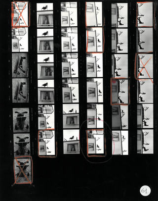 Alias al Circo Medini, Provino 021-061